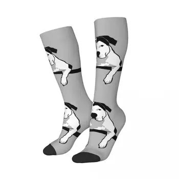 Чорапи с Хубав Принтом Кучета Бик за Жени И Момичета, Еластични Спортни Чорапи до Бедрото, За Любителите на домашни любимци
